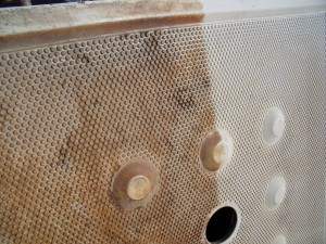 Plate Clean 4